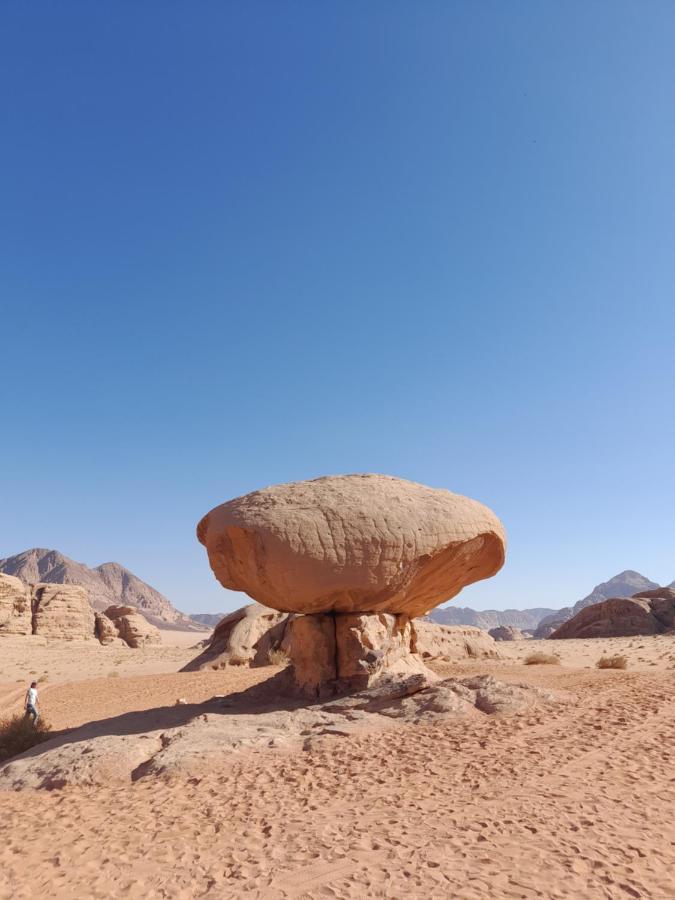 Wadi Rum Camels Camp Extérieur photo